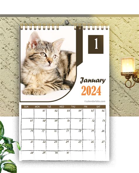 2024 Cat Wall Calendar Free Printable Templates