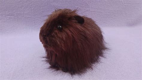 Big Dark Brown Longhaired Guinea Pig Plushie Citrine Mouse