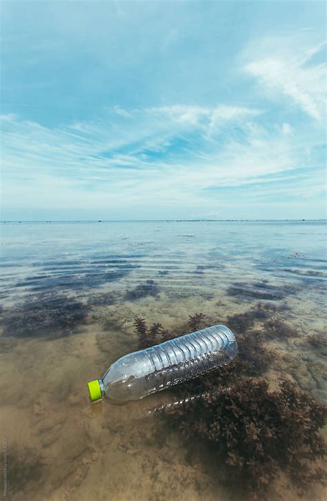 Empty Plastic Bottle Floating In The Ocean By Stocksy Contributor