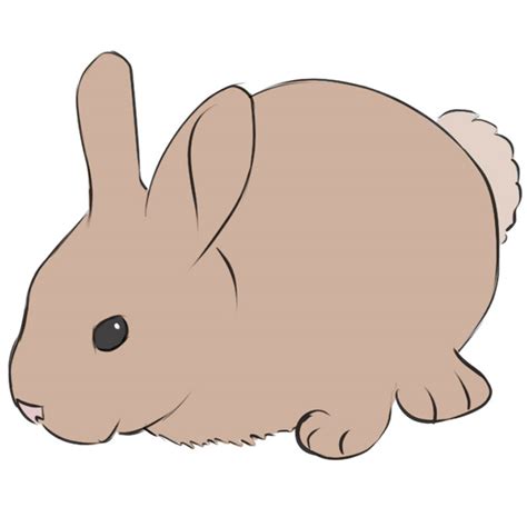 Easy Pictures Of Rabbits To Draw
