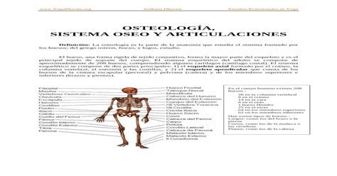 OsteologÍa Sistema Oseo Y Archivos