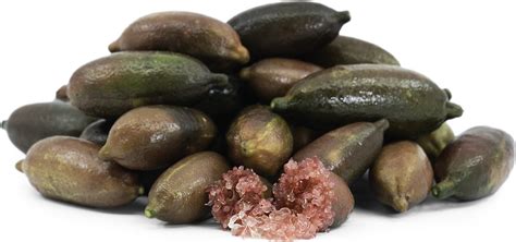 Red Finger Limes Information And Facts