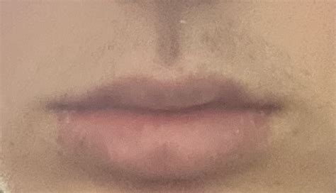 How To Get Symmetrical Lips Looksmax Org Men S Self Improvement