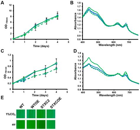Antioxidants | Free Full-Text | Characterization of TrxC, an Atypical