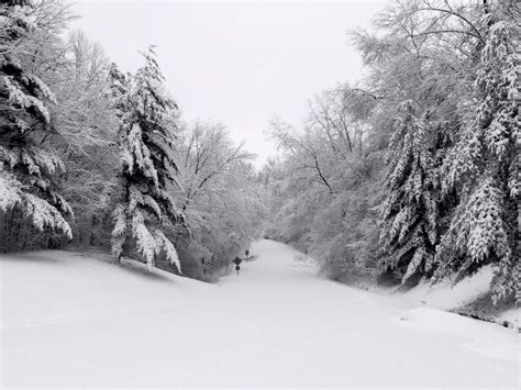 Free Winter Scenes Stock Photo