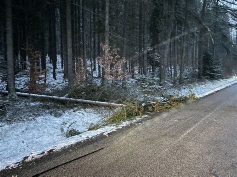 Thl Baum Auf Fahrbahn Feuerwehr Pleystein