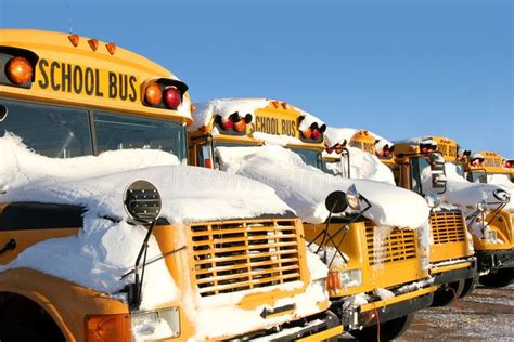 A Row Of Yellow School Buses Covered In Snow