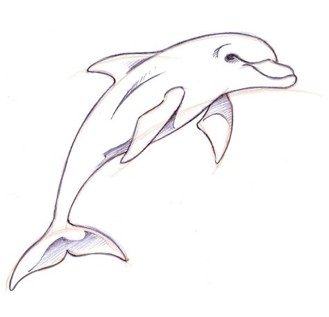 Sintético 98 Foto Dibujos De Delfines Saltando A Lapiz Actualizar