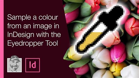 Sample A Colour From An Image In InDesign With The Eyedropper Tool