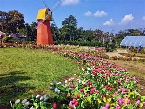Banyak wisatawan menyebut tempat wisata semarang satu ini dengan nama taman bunga celosia gedong songo karena lokasinya tak jauh candi dari gedong songo. Tiket Masuk Taman Bunga Pandeglang / Pesona Taman Bunga ...