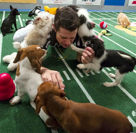 Behind The Scenes Of The Puppy Bowl Sports Illustrated