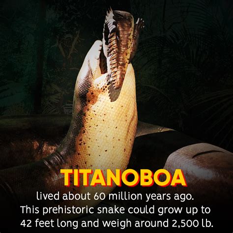 10 Prehistoric Creatures That Are Thankfully Extinct Youtube