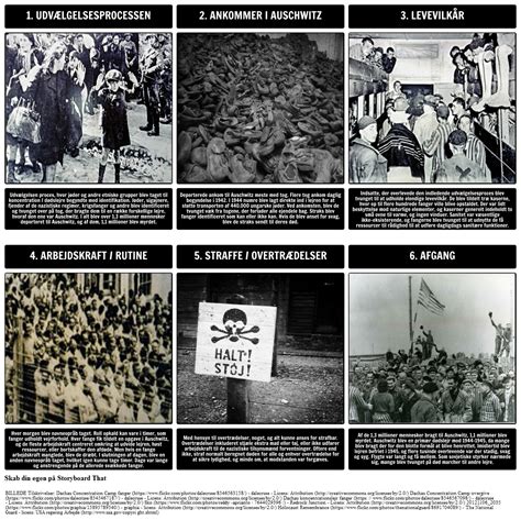 Historien Om Holocaust Livet I Auschwitz Storyboard