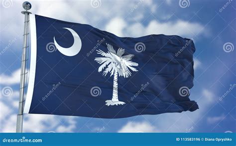 South Carolina Waving Flag Stock Photo Image Of Blue 113583196