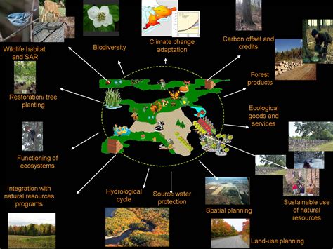 Landscape Conservation Planning