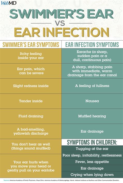 What Is Swimmer's Ear? | Swimmers ear, Ear infection, Swimmers ear remedy