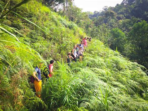 Viaje Transformador En Las Selvas De Panamá 2024 Exoviajes