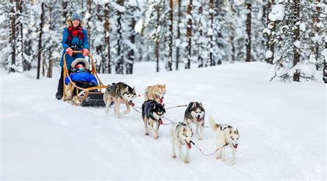 Lapland Activities Things To Do In Lapland Igluski