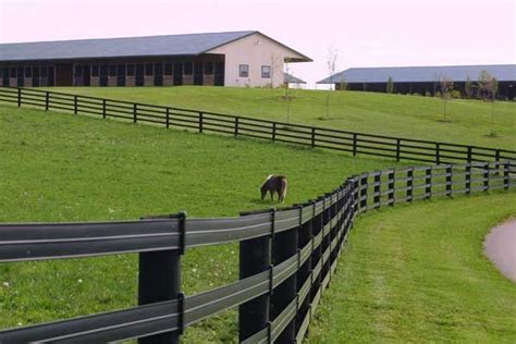 Horse Fence Direct Centaur Cenflex Fence Horse Fencing Pasture