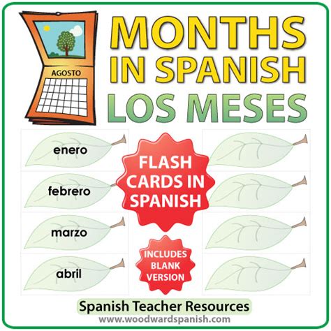 Spanish Flash Cards Months Of The Year Woodward Spanish