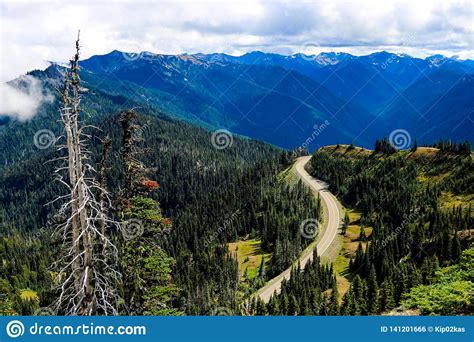 Top Of Hurricane Ridge At Olympic National Park