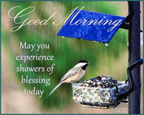 Sending good morning rainy day wishes will surely refresh their mind and they will get excited and energized. Good Morning May You Experience Blessings Today Pictures ...