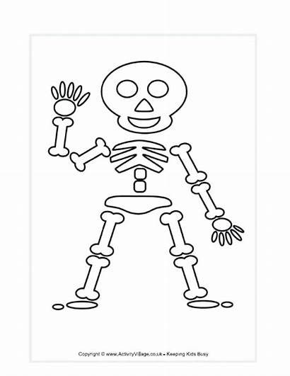 Parts Coloring Pages Printable Skeleton Template Getcolorings