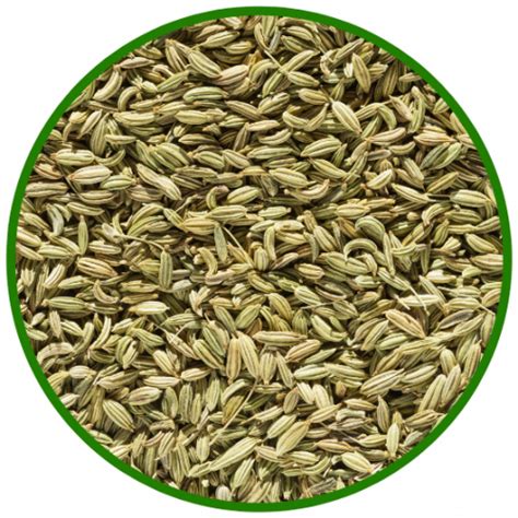 Fennel Seeds Viji Foods