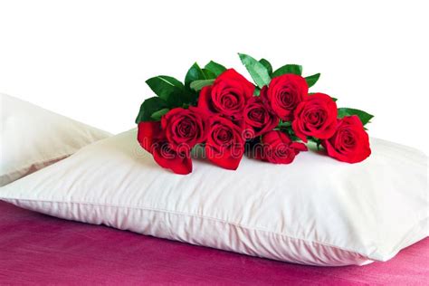 Red Roses On A White Pillow Stock Photo Image Of Nature Celebrations