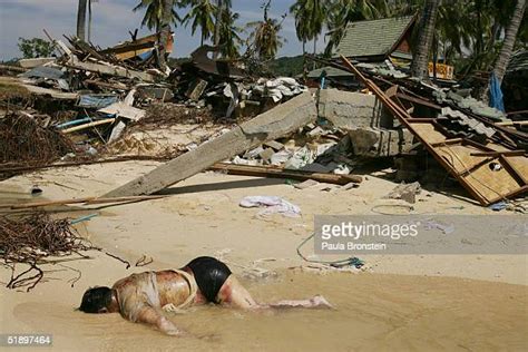 Dead Body On Beach Bildbanksfoton Och Bilder Getty Images