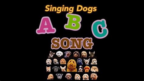 Singing Dogs 「abc Song 」by Doggy Chat Abcソングを唄う犬達 Youtube