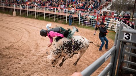Bull Riding May Be 1st Us Professional Sport To Welcome Fans Nbc New York
