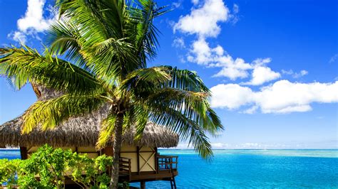 Instruction of downloading for windows. Wallpaper Maldives, 4k, HD wallpaper, holidays, vacation, travel, hotel, island, ocean, bungalow ...