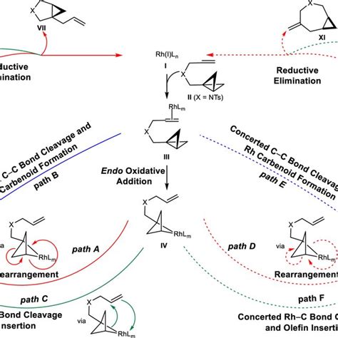 Neutral Mechanisms For Rhipph3 Catalyzed Cycloisomerization Of