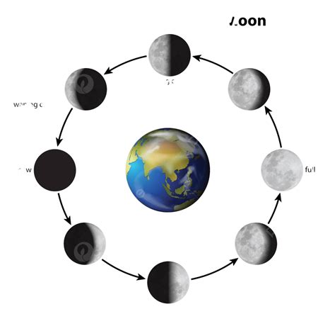 Phases Of The Moon Chemical Cycle Solar System Vector Chemical Cycle