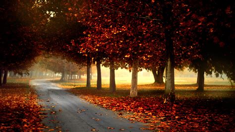Free Download Hd Wallpaper Photography Autumn Road 2560x1440 4k
