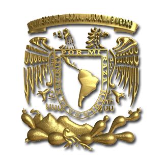 A) número de seguro social. Normatividad