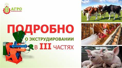 Экструдированные отруби на диете дюкана