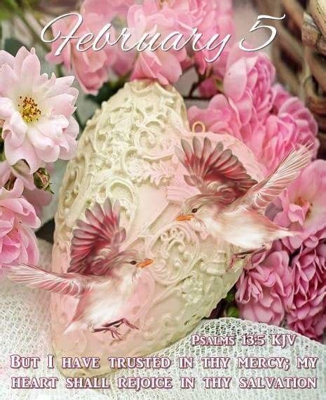 Monday February 5 2018 December Scriptures Rose Flower Wallpaper