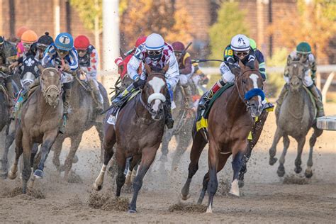 The three best picks for the 2020 Breeders' Cup - Pickswise