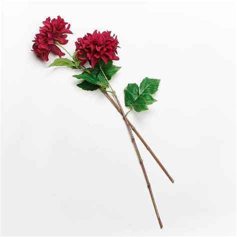 A stem is one of two main structural axes of a vascular plant, the other being the root. Forever Flowering Real Touch Dahlia Flower Stem - Forever ...