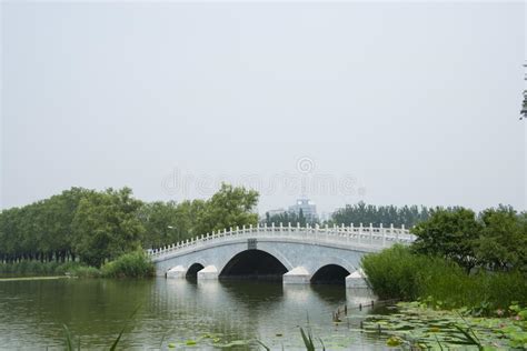 Asia China Beijing Chaoyang Park Scenic Garden Lotus Lake Stone