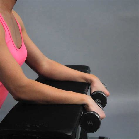 Dumbbell Wrist Extension Over Bench Fit Drills Website