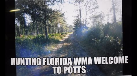 Floridas Wma Deer Hunting Potts Wma Youtube
