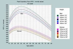 Peak Flow Calculator Estimated Peak Expiratory Flow