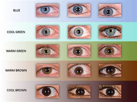 Pin On Tips For Writing Eye Colour What Is Yours Interesting Eye