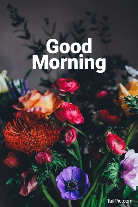 35 Best Good Morning Flowers Images — Tailpic
