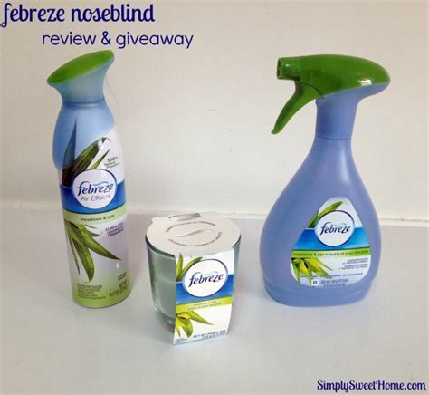 Febreze Noseblindness Test Review And Giveaway Simply Sweet Home