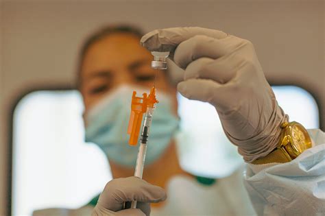 las vacunas de pfizer y moderna podrían generar una inmunidad duradera según científicos the