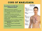 Cons Of Smoking Marijuana Images